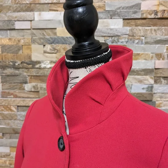 Gorgeous Fall/Spring Coat - Picture 3 of 6